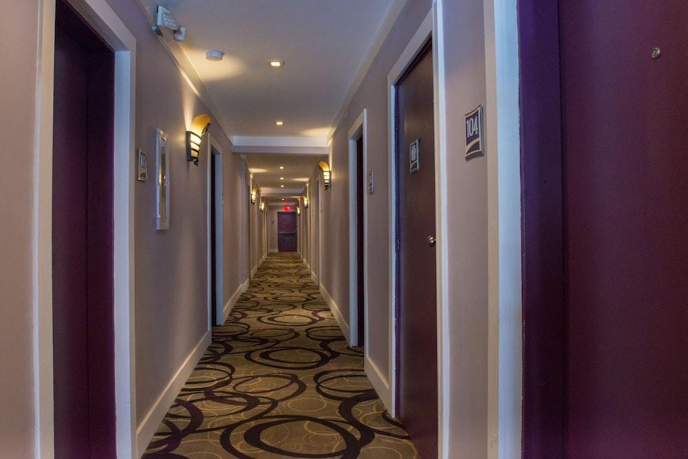Shelley Hotel Miami Beach Exterior foto